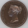 Médaille 1856 Queen Victoria Department Science Art Peterson St Martins 1866 (vz-unz)