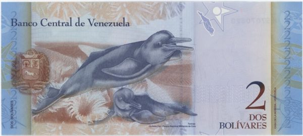 Venezuela 2 Bolivares 2012 Neuf – Image 2