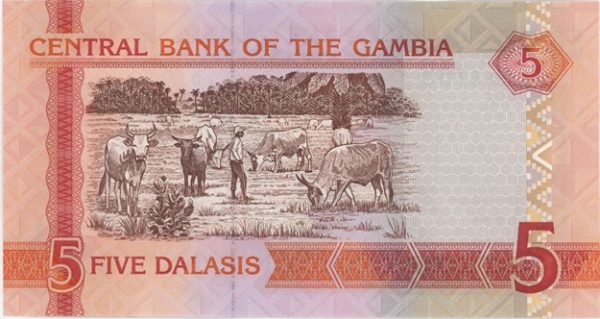 Gambia 5 Dalasis ND (2006-13) Neuf – Image 2