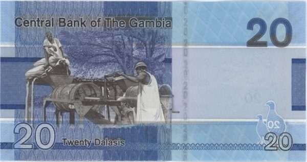 Gambia 20 Dalasis 2023 Neuf – Image 2