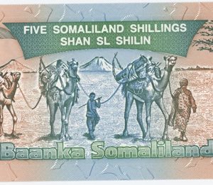 Somaliland 5 Shillings 1994 Neuf