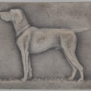 Médaille Société Canine de l’est (vz-unz)