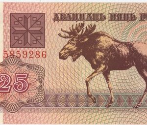 Biélorussie 25 Rublei 1992 Neuf