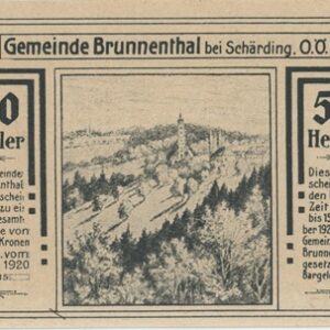 Autriche Brunnenthal 50 Heller 1920