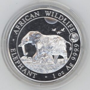 Somalie 100 Shillings 2022 Elephant 1 OZ Fine Silver 999 (Fdc)