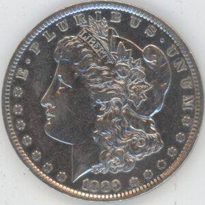 USA Morgan Dollar 1889 O (ss) en argent