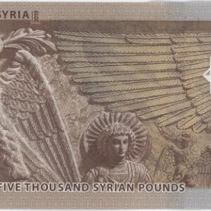 Syrie 5000 Pounds 2019 Neuf